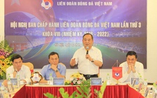 Không đại hội bất thường, VFF sẽ bầu Phó chủ tịch tài trợ vào cuối năm 2019