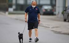 Những câu nói trứ danh của HLV Park Hang-seo!