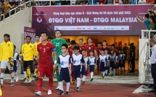 Ban chấp hành VFF quyết định ‘vận mệnh” V-League 2020