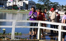 Ban tổ chức giải Ultra Trail Dalat 2020 phải báo cáo về vụ VĐV tử nạn