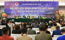 Hoãn Đại hội thường niên VFF