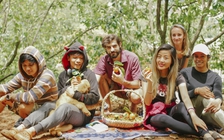 Người người đổ xô lên Đà Lạt thăm vườn hồng trứng 30 năm