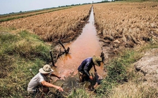 Bộ TN-MT kiến nghị Thủ tướng giải pháp phòng chống hạn hán, xâm nhập mặn