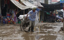 Cuộc sống đảo lộn vì đường biến thành... đầm lầy