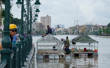 Hải Phòng dựng nhà cho thiên nga kết đôi sinh sản