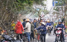 [Ảnh] Chợ hoa xuân 'siêu to' ở Hải Phòng nhộn nhịp ngày giáp tết