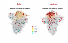 Sự biến đổi của Omicron làm tăng nguy cơ tái nhiễm