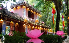 Cố đô Huế lung linh sắc màu Phật đản