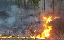 Rừng cháy lớn cùng lúc 4 khu vực ở Thừa Thiên - Huế