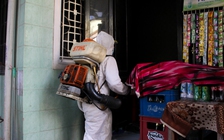 Hơn 2.000 ca mắc sốt xuất huyết tại Thừa Thiên-Huế