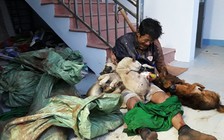 'Nghi can trộm chó chết do đa chấn thương'
