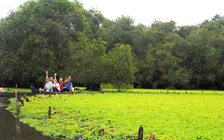 ‘Bệnh’ na ná nhau của du lịch ĐBSCL