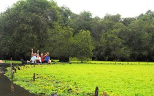 Trị bệnh 'lệch pha' của du lịch