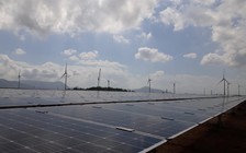 2019 - năm bùng nổ của năng lượng 'sạch'