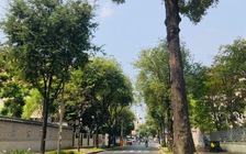 Người dân ở nhà tránh dịch, ô nhiễm không khí giảm đáng kinh ngạc!