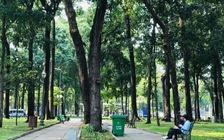 Cách ly xã hội, ô nhiễm không khí toàn thế giới giảm mạnh