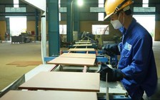 Bộ Xây dựng bán cổ phiếu Viglacera cao hơn giá trên sàn
