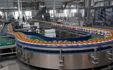 Năm đầu về tay người Thái, lãi ròng Sabeco sụt giảm