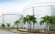 SCIC muốn thoái toàn bộ 36,3% vốn tại công ty dầu Vocarimex