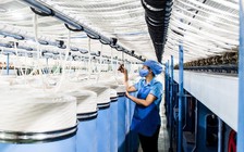 Cổ phiếu FTM lao sàn 30 phiên liên tiếp, mất 90% giá trị