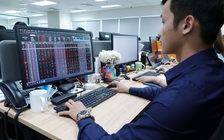 VN-Index giảm gần 30% trong hơn 1 tháng