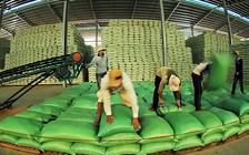 Từ 0 giờ ngày 28.4 mở đăng ký tờ khai xuất khẩu gạo được hồi lại