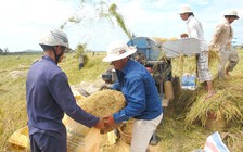 Lượng hạn ngạch gạo tháng 4 vẫn chưa xuất hết