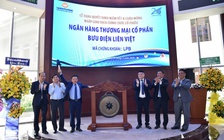 Cổ phiếu ngân hàng, chứng khoán nhỏ đua nhau 'tím lịm'