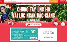Canh giờ vàng mua online vải thiều Bắc Giang từ ngày 6.6