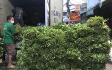 Thu nhập giảm, thu thuế cá nhân tăng