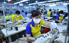 Xuất khẩu dệt may, nông sản về đích, đưa thương mại Việt Nam lập kỷ lục
