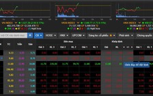 Cổ phiếu 'họ' FLC lại quay đầu nhuộm đỏ