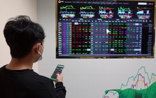 Cổ phiếu HPG, HSG, NKG... đồng loạt tím lịm