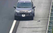 Tạm giữ một ô tô đi ngược chiều trên đường cao tốc Hà Nội - Hải Phòng