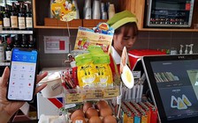 ‘Tiền di động’ - Mobile Money vẫn chờ ngày ra mắt