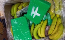 Gần 1 tấn ma túy trong thùng chuối siêu thị