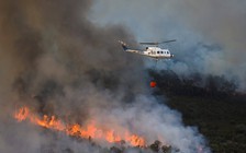 Hàng trăm người chết vì nắng nóng gay gắt ở châu Âu