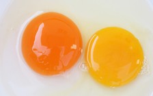 Lý do đáng ngạc nhiên về màu sắc của lòng đỏ trứng