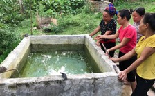 Bố chết lặng nhìn hai con chết đuối trong bể nước ăn