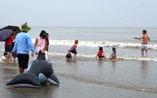 Bão số 3 sắp đổ bộ, du khách vẫn vô tư tắm biển Sầm Sơn