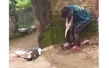 Trộm chó bị người dân bắt trói, đánh đập và treo chó lên cổ