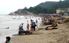 Bãi biển Sầm Sơn ngập rác thải, gốc cây nặng hàng tấn