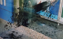 Một gia đình ở Thanh Hóa khốn khổ vì liên tục bị khủng bố bằng 'bom bẩn'