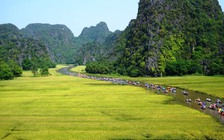 Lạc bước ở 'Hạ Long trên cạn', du ngoạn giữa cánh đồng lúa chín vàng