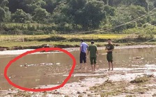 Phát hiện đôi vợ chồng trẻ chết dưới suối, nghi bị điện giật