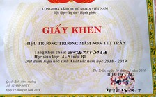 Không được tặng giấy khen 'học sinh tiên tiến, học sinh xuất sắc' cho trẻ mầm non