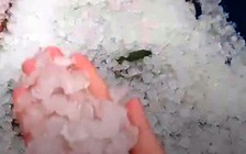 Nhiều nơi ở Thanh Hóa xảy ra mưa đá trong ngày mồng 1 tết Nguyên đán