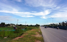 Trại lợn ‘hành hạ’ khu đô thị: Yêu cầu xử lý tình trạng ô nhiễm