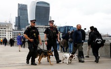 Bắt thêm nghi phạm tấn công khủng bố ở London, Manchester