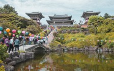 Đi chơi đảo Jeju sẽ phải đóng thêm thuế?